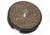 Giottos Q/R Plate for VGR Tripods ending in SC MH543C