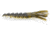 Googan Squad Doob Tube, 3.5in, Smelt, GTB-35-SMT