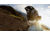 GoPro Helmet Front + Side Mount, AHFSM-001