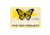 Goruck Badass Babes Anti-Virtual Patch, 381546