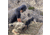 Goruck Shooting Mat, SHTM-0307