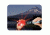 Grabber Emergency Rescue Mirror 0113SSM