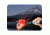 Grabber Emergency Rescue Mirror 0113SSM