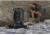 Granite Gear Crown2 60L Backpack, Short, Highland Peat/Black, 5000009-4014