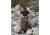 Granite Gear Crown2 60L Backpack, Short, Highland Peat/Black, 5000009-4014
