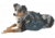 Granite Gear Ruff Rider Dog Pack - Red/Wrought Iron S
