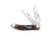 Great Eastern Tidioute Beaver Tail Folding Knife, 3.00in, 1095, Clip Point, Sheepsfoot Blade, Wood, Brown Handle, Brown/Silver, 7.00 inch, BHQ-223791