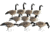 Greenhead Gear Commercial Grade Full Body Honkers Decoy,Active Pack,1/2 Dozen 71550