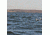 Greenhead Gear Commercial Grade Long-Tailed Ducks Foam Filled,1/2 Dozen 74027
