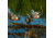Greenhead Gear Life-Size Duck Decoy,Wigeons,1/2 Dozen 73043