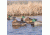 Greenhead Gear Mallards Decoy 70003