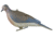 Greenhead Gear Mourning Doves,1/2 Dozen 72005