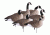 Greenhead Gear Newbold Lesser Canadas Decoy,Active Pack,1/2 dzen 72320