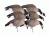 Greenhead Gear Newbold Lesser Canadas Decoy,Feeder Pack,1/2 Dozen 72321