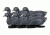 Greenhead Gear Over-Size Duck Decoy,Coots,1/2 Dozen 73014