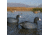 Greenhead Gear Over-Size Duck Decoy,Coots,1/2 Dozen 73014