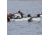 Greenhead Gear Over-Size Duck Decoy,Diver Duck Pack,1/2 Dozen 70252