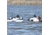 Greenhead Gear Over-Size Duck Decoy,Diver Duck Pack,1/2 Dozen 70252