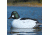 Greenhead Gear Over-Size Duck Decoy,Goldeneyes,1/2 Dozen 73047