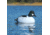 Greenhead Gear Over-Size Duck Decoy,Goldeneyes,1/2 Dozen 73047