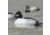Greenhead Gear Over-Size Duck Decoy,Goldeneyes,1/2 Dozen 73047