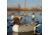 Greenhead Gear Over-Size Duck Decoy,Pintails,1/2 Dozen 73032
