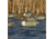 Greenhead Gear Over-Size Duck Decoy,Pintails,1/2 Dozen 73032