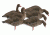 Demo,Greenhead Gear Pro-Grade Full Body Specklebelly Decoy,Harvester Pack,1/2 Dozen 71852