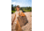Gregory Alpaca 50L Utility Tote - Mens, Mirage Tan, One Size, 153082-A269