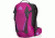 Gregory Amasa 10 Backpack, 10 L, Sangria/Purple, 77901-5615