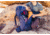 Gregory Baltoro 75L Backpack, Alaska Blue, Medium, 141303-1002