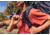 Gregory Deva 80L Pro Backpack - Womens, Lava Grey, X-Small, 141318-1490