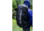Gregory Baltoro 65L Backpack