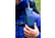 Gregory Baltoro 65 68L Backpack