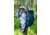 Gregory Deva 60 64L Backpack - Womens