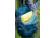 Gregory Deva 60 64L Backpack - Womens