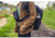 Gregory Rhune Belt Bag