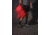 Gregory Kiro 20L Daypack - Mens, Lava Red, One Size, 153035-4222