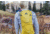 Gregory Pace 3L H2O Pack - Womens, Mineral Yellow, One Size, 143373-1561