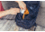 Gregory Rhune 20L Pack, Sunset Blue, One Size, 143375-A384