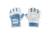 Grizzly Fitness Womens Paw Gloves, Blue, Small 4007159