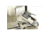 Grizzly Industrial Lathe Grinding Attachment T21511