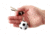 Guard Dog Security Sport Ball Keychain Alarm, Soccerball, Multicolored, AL-GDPASB