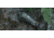 Guide Sensmart TK Gen2 Series TK431 2.3-9.2x35mm Thermal Monocular, 400x300, Black, TK431