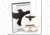 Gun Video DVD - Gunsite: Tactical Edged Weapons 2 X0207D