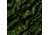 GunSkins Glock 19 Pistol Skin Premium Vinyl Wrap, Proveil Reaper Z, CU-98059-GLOCK19-RPRZ