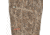 Habit All Season Camo Pant - Mens, Mossy Oak Bottomland, 3XL, LP10042-M-8-6-3X-6H4