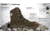 HAIX Airpower XR23 Boot, 9US, Wide, Brown, 9, 607903W-9