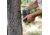 HALF RACK 2-Op Trail Camera Mount, Silver, Small, HR1400