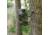 HALF RACK 2-Op Trail Camera Mount, Silver, Small, HR1400